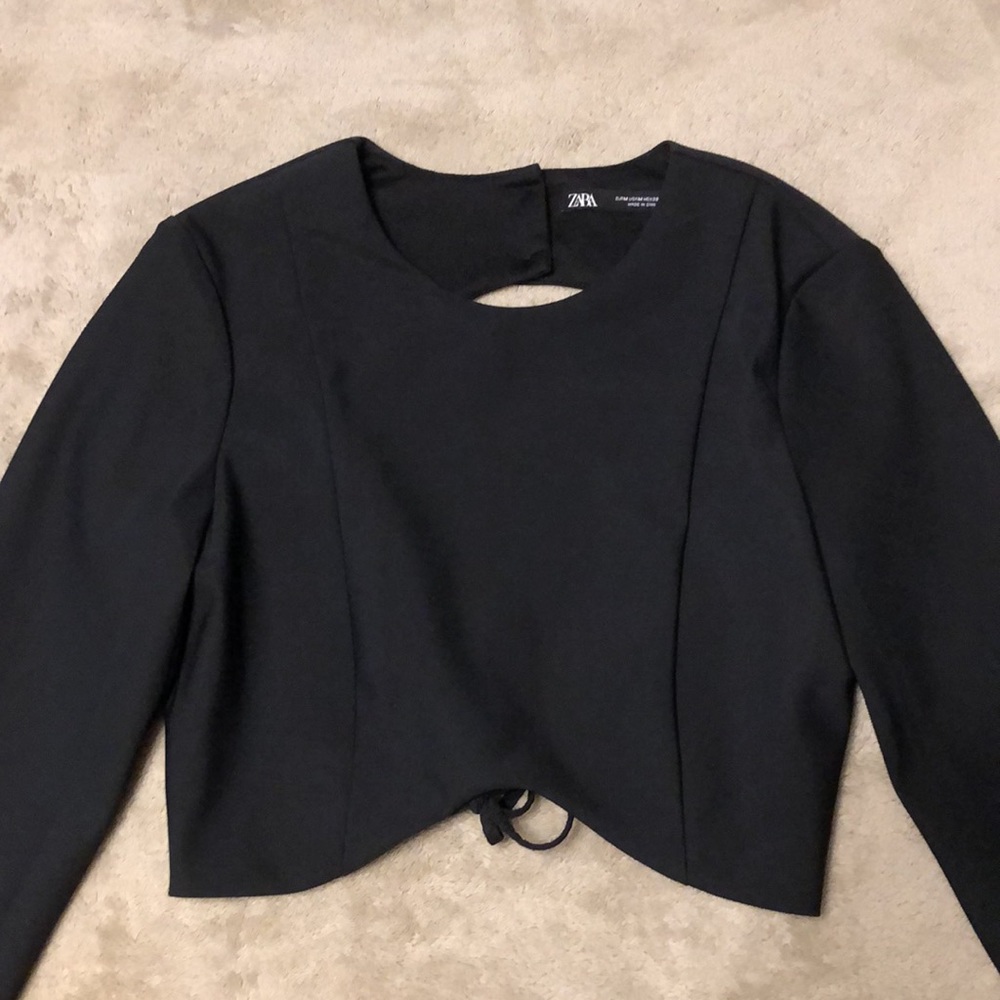 Zara long sleeve crop top